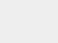 [NUMO.CONTENT SECTIONS: DISPLAY(id=100)]